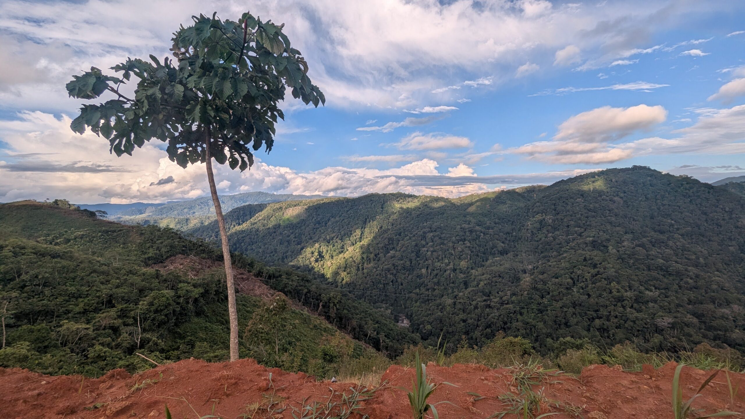 El paisaje alrededor de la BMA
